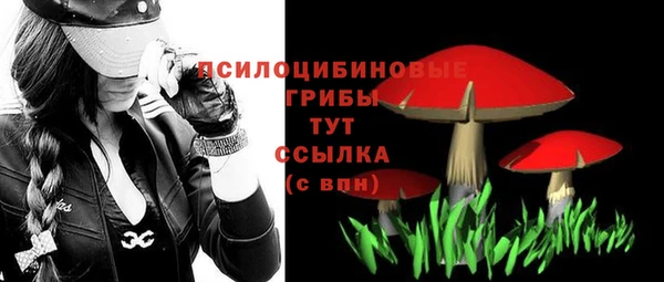 альфа пвп Новодвинск
