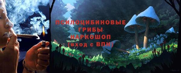 ПСИЛОЦИБИНОВЫЕ ГРИБЫ Новокубанск