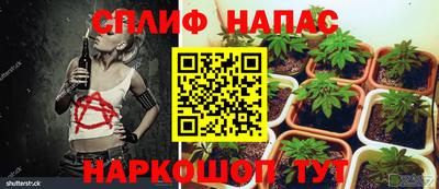 прущая мука Балашиха