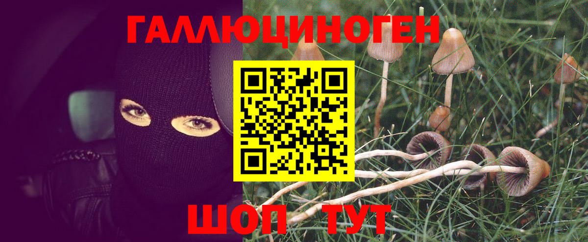 Псилоцибиновые грибы MAGIC MUSHROOMS Боровичи