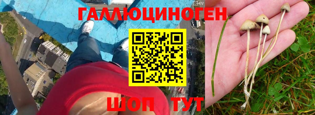 купить наркотик  Вход с VPN  Галлюциногенные грибы Magic Shrooms  Боровичи  Галлюциногенные грибы прущие грибы 